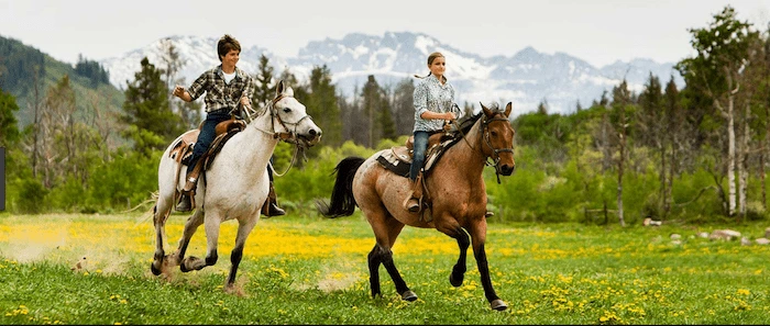 Confident plus-size woman riding Stratford a horse through a field with a smile on her face.
